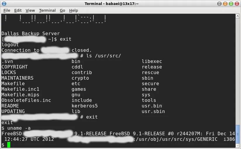 The default Xfce4 Terminal on FreeBSD (sh csh)